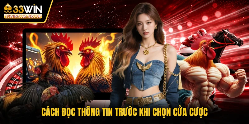 Cách đọc thông tin trước khi chọn cửa cược